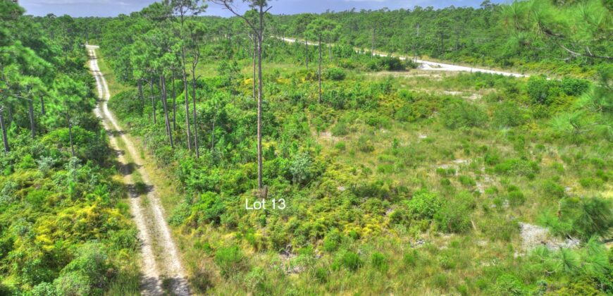 3 LOTS PINEHURST BAH PALM