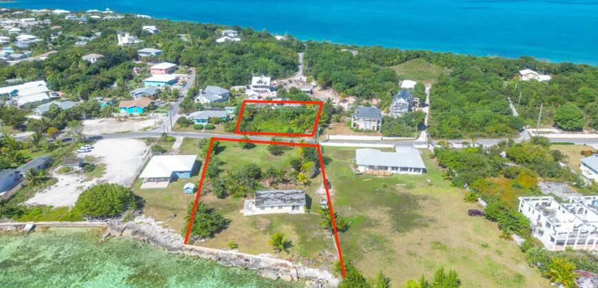 YELLOW ELDER & THE CHALET