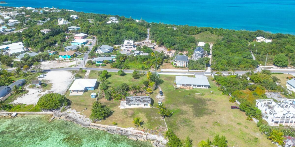 YELLOW ELDER & THE CHALET