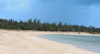 7B – 5 Acre Parcel