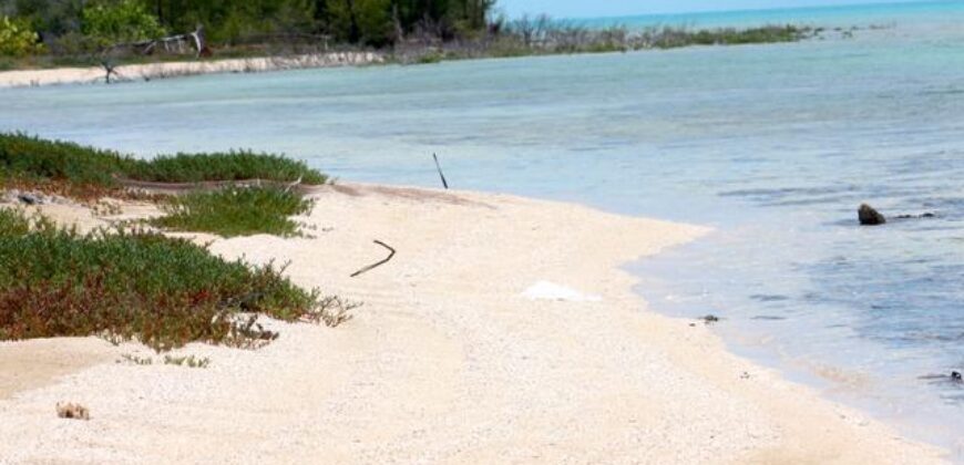 7B – 5 Acre Parcel