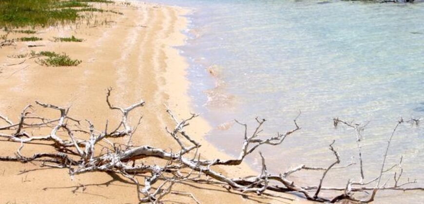 7B – 5 Acre Parcel