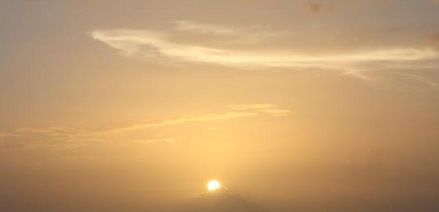 7B – 5 Acre Parcel