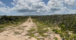 LOT C, LITTLE HARBOUR