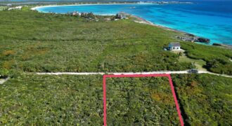 YELLLOW WOOD HILLTOP