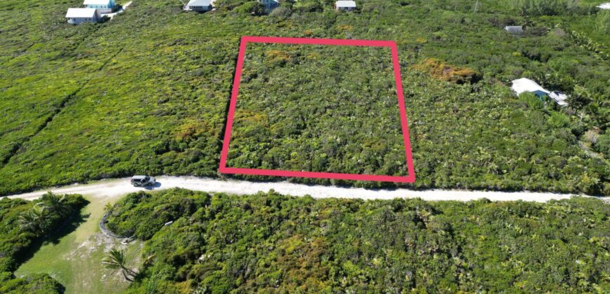 YELLLOW WOOD HILLTOP