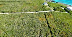 YELLLOW WOOD HILLTOP