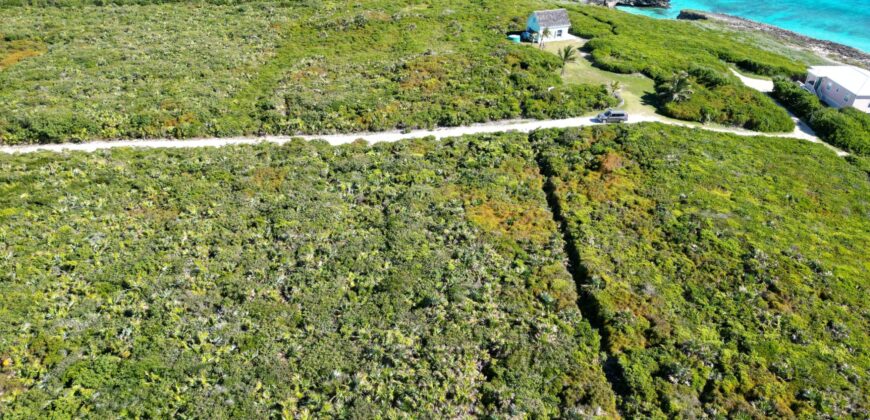 YELLLOW WOOD HILLTOP