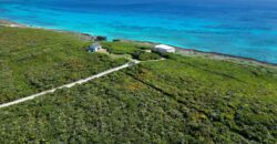 YELLLOW WOOD HILLTOP