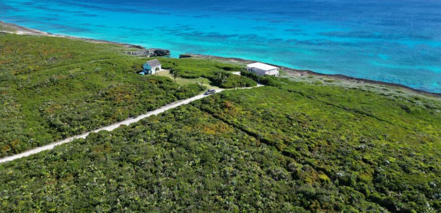 YELLLOW WOOD HILLTOP