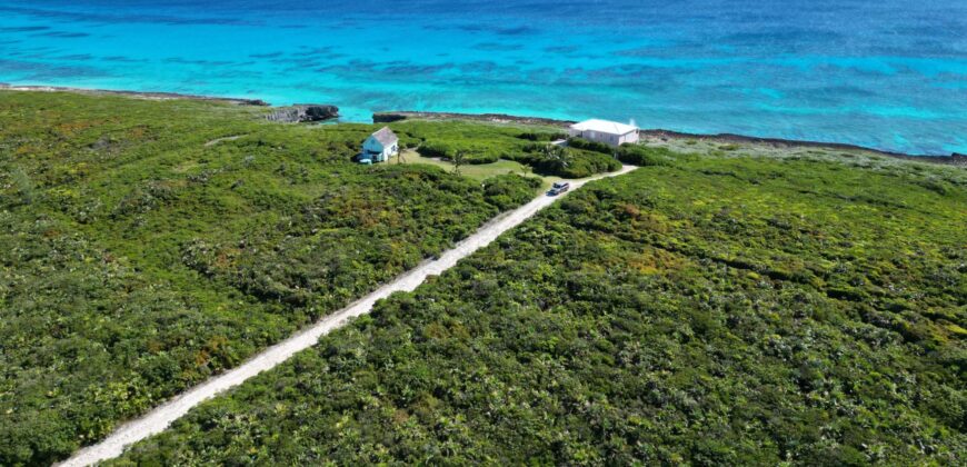 YELLLOW WOOD HILLTOP