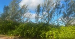 LINCOLN GREEN CORNER LOT