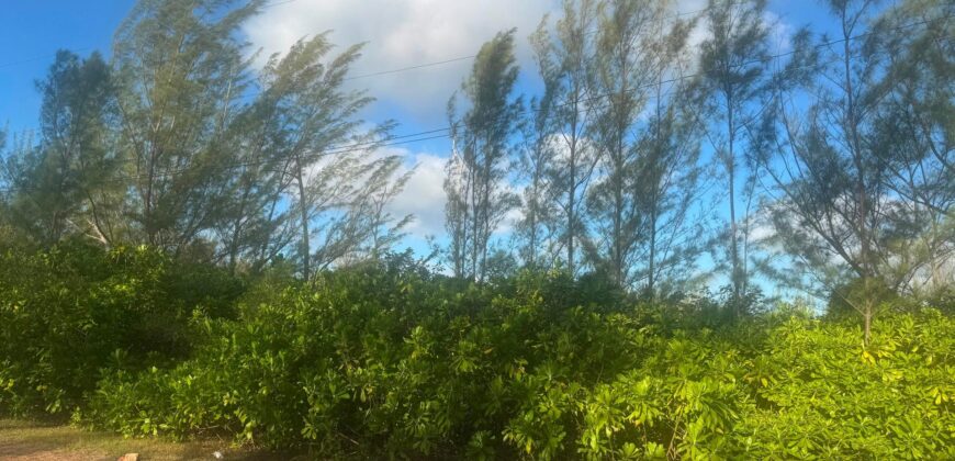 LINCOLN GREEN CORNER LOT