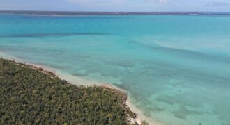 LOT W7 IN JACKS JUNGLE