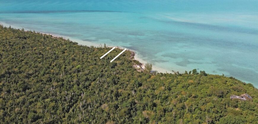 LOT W7 IN JACKS JUNGLE