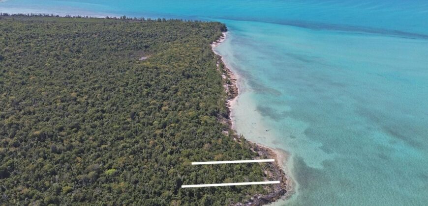 LOT W7 IN JACKS JUNGLE