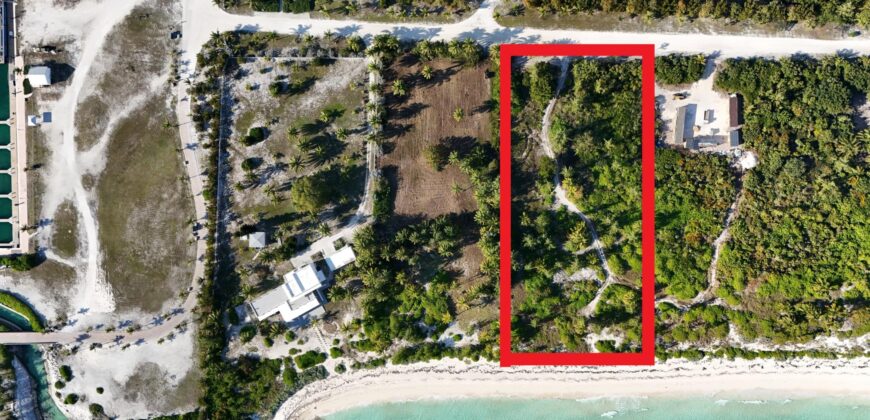 QUEENS BEACH- CHUB CAY