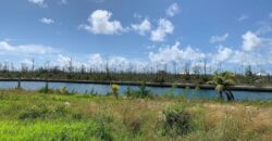 PINE BAY CANAL FRONT