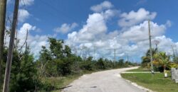 PINE BAY CANAL FRONT