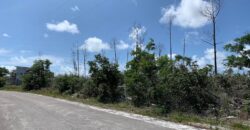 PINE BAY CANAL FRONT