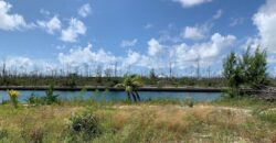 PINE BAY CANAL FRONT