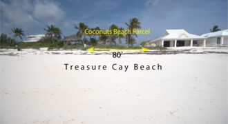 Coconuts Beach Lot