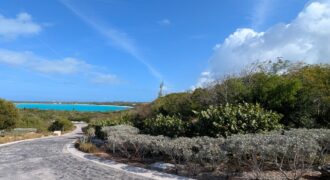 TAYLOR MACKENZIE DRIVE