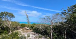 TAYLOR MACKENZIE DRIVE