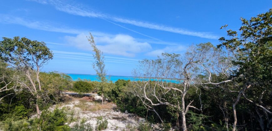 TAYLOR MACKENZIE DRIVE