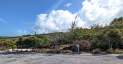 TAYLOR MACKENZIE DRIVE