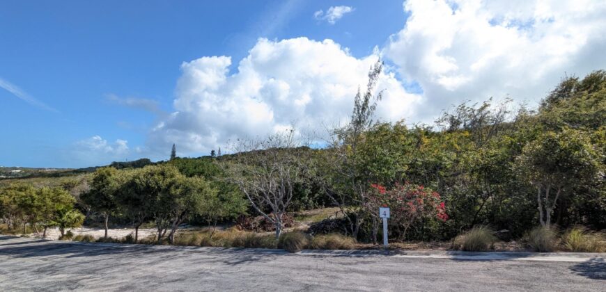 TAYLOR MACKENZIE DRIVE