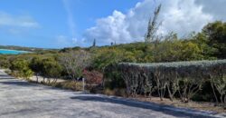 TAYLOR MACKENZIE DRIVE