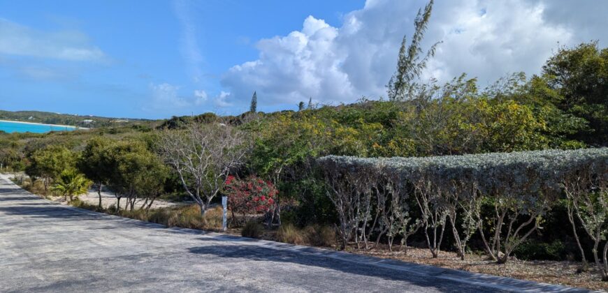 TAYLOR MACKENZIE DRIVE