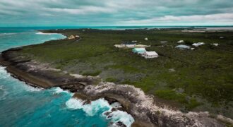 Lot 11K, Yellow Wood