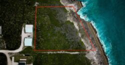 Lot 11K, Yellow Wood