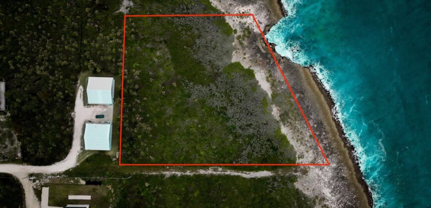 Lot 11K, Yellow Wood